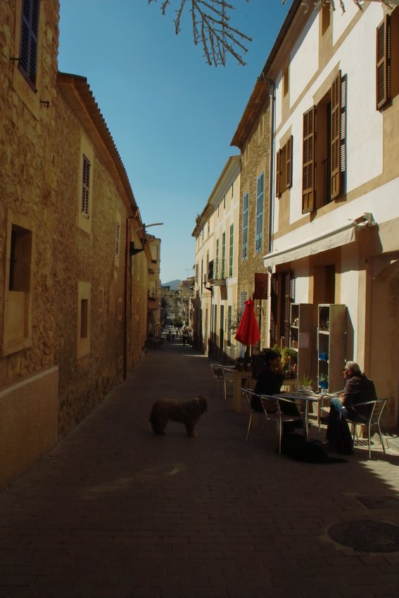 Gasse in Arta