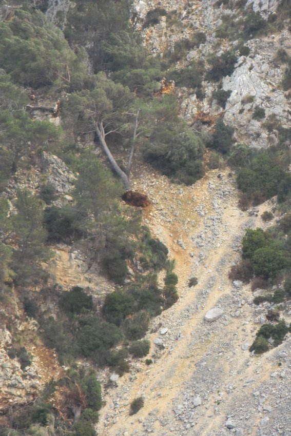 Cap Formentor