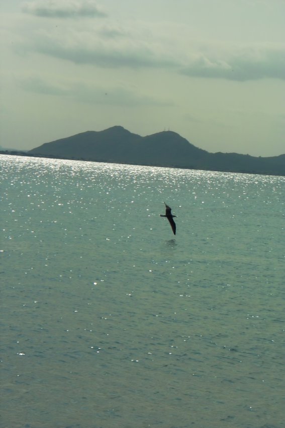 Platja Formentor