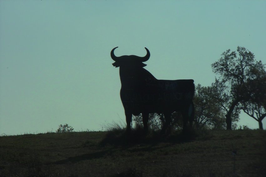 El Toro - der Stier von Osborne grüßt