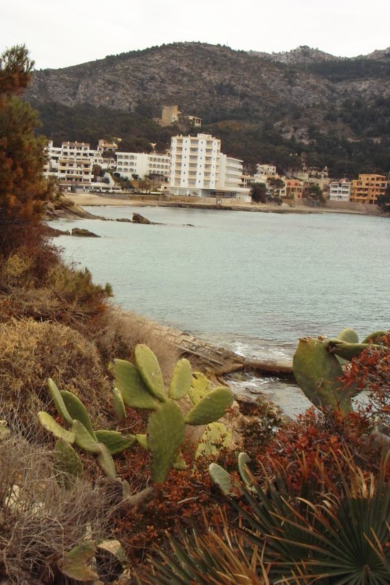 Blick auf die Buch von Sant Elm