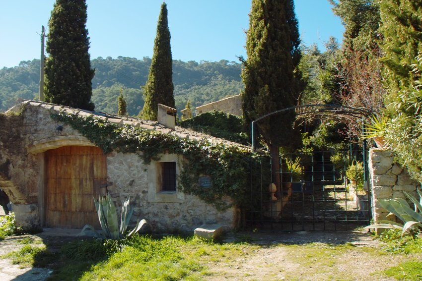 Impression in Valldemossa