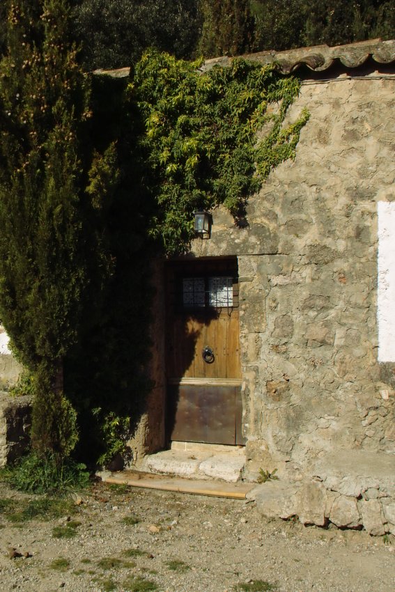 Impression von der Klostermauer Valldemossa