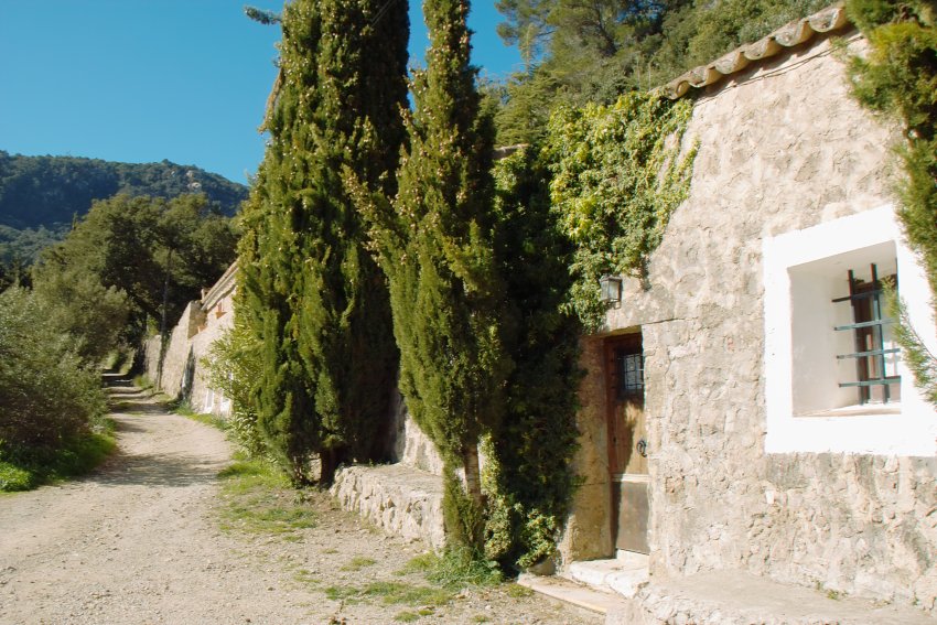 Klostermauer in Valldemossa