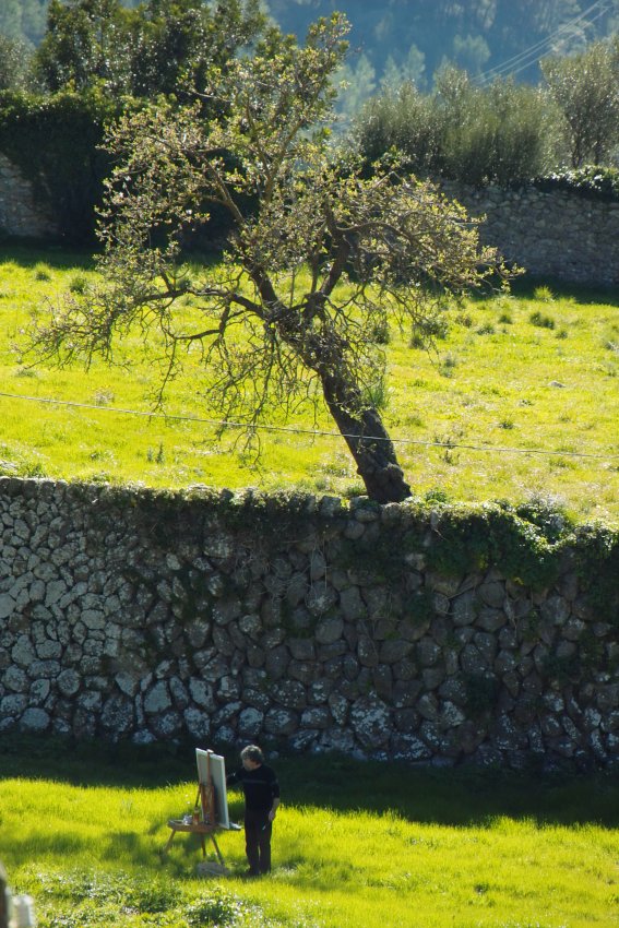 Malerparadies Valldemossa