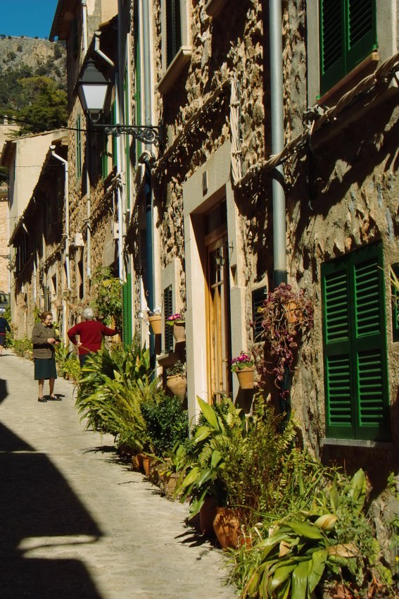 grünes Valldemossa